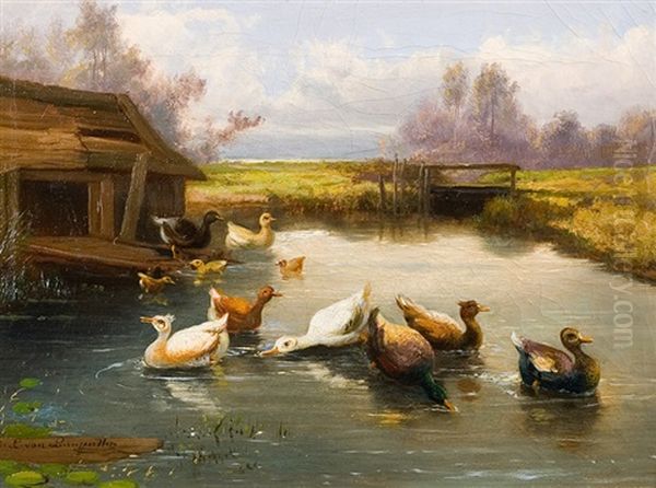 Petits Canards Dans L'eau - view 1