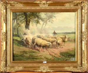 Troupeau De Moutons Et Son Berger