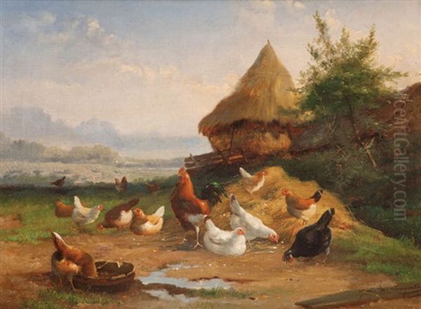 Coq Et Poules A La Cour - view 1