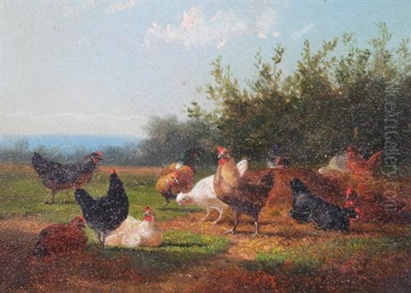 Chickens In A Barn - view 1