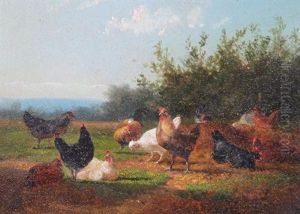 Chickens In A Barn Chickens In A Barn