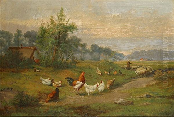 Scharrelende Haan En Kippen - view 1