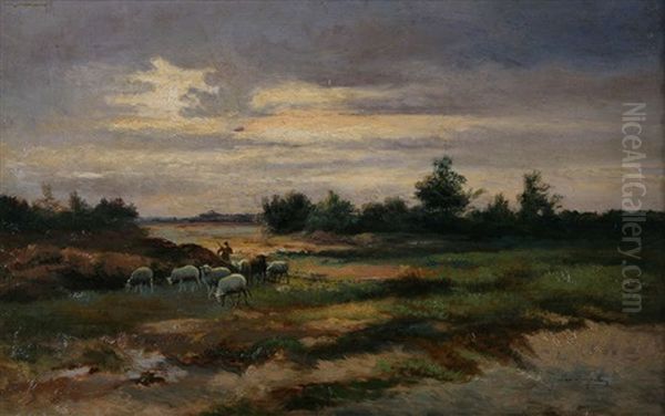 Berger Aux Moutons A La Fagne - view 1