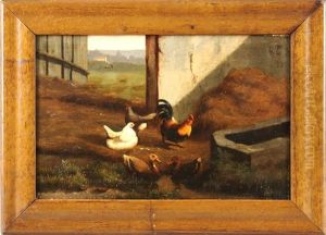 Hahn Mit Hennen Und Zwei Enten Im Stall Mit Ausblick Auf Landschaft