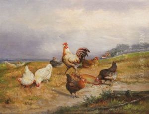 Coq Et Poules Au Paysage