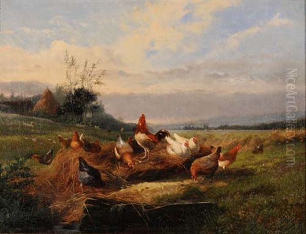 Weite Landschaft Mit Hahn Und Huhnern - view 1