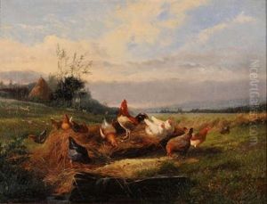 Weite Landschaft Mit Hahn Und Huhnern
