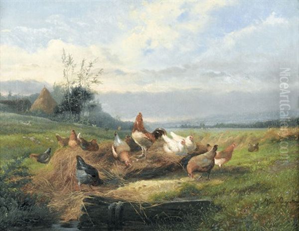 Huhner Auf Dem Feld - view 1