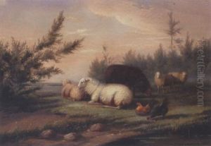 Sheep And Ducks Sheep And Ducks