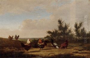 Poultry In A Field Poultry In A Field