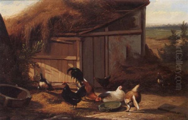 Poultry Near A Barn - view 1