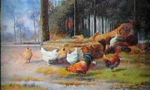 Coq Et Poules Au Bord Du Chemin