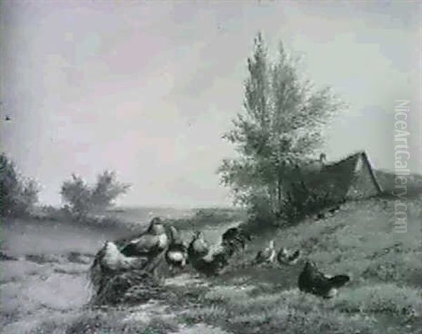 Chickens By Barns - view 1