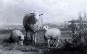 Mutterschaf Mit 2 Lammern Auf Einem Wiesenstuck In Weiter   Ebene An Einem Hellen Sommer- Tag