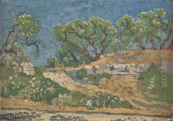 Olive Grove - view 1