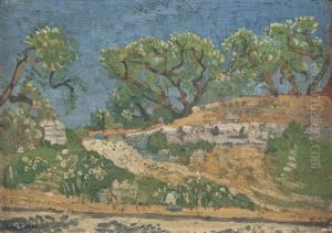 Olive Grove