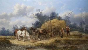 Auf Dem Feld