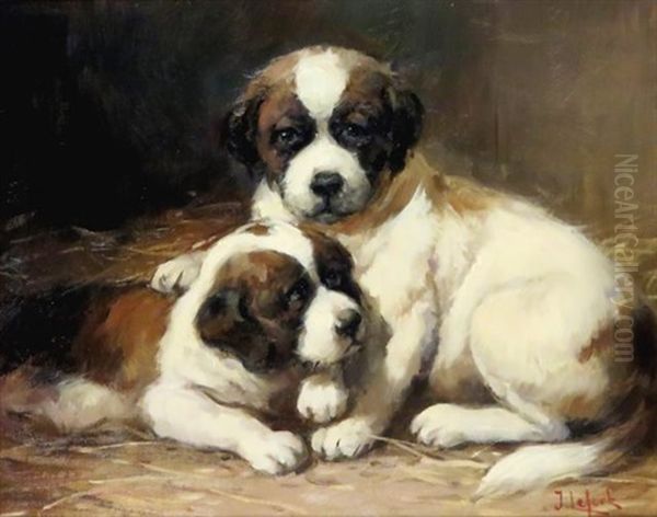 Puppies - view 1