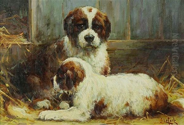 Two Saint Bernard Puppies - view 1
