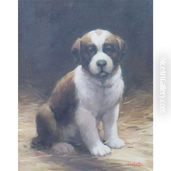 Puppy - view 1