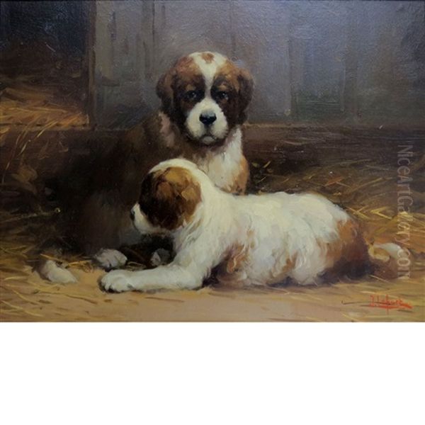 St. Bernard Puppies - view 1