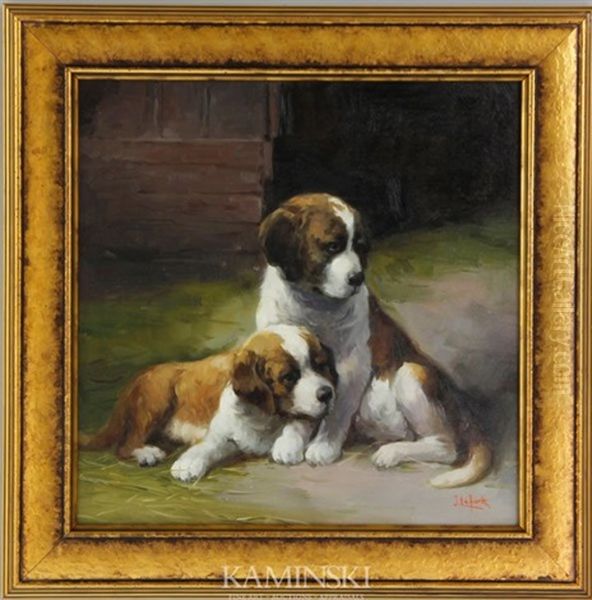 Puppies - view 1