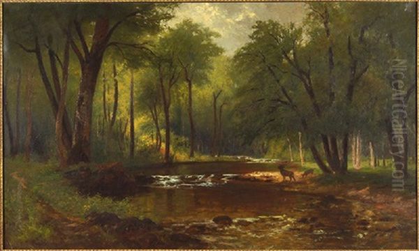 River - view 1