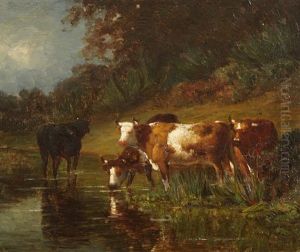 Cows Drinking From A Stream Cows Drinking From A Stream