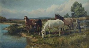 Horses At Water