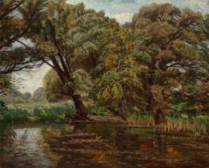 Donauau by Wilhelm Legler