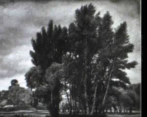Grosse Baumgruppe Im Dorfe by Wilhelm Legler