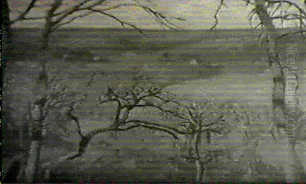 Landschaft - view 1