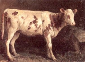 A Calf In A Barn Interior