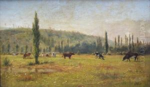 Vacas Pastando