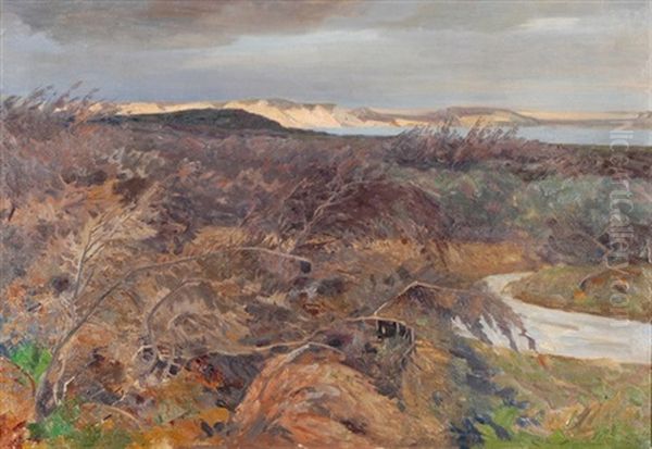 Verbranntes Ginsterfeld, Sylt - view 1