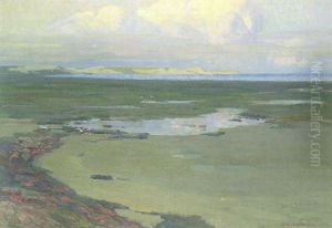 Kustenlandschaft Auf Sylt
