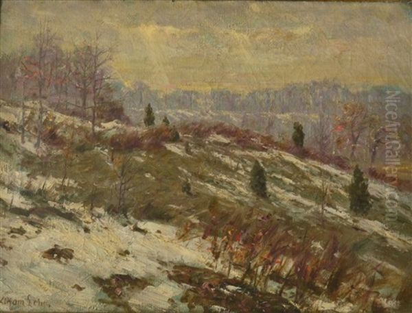 Winter Landscape - view 1