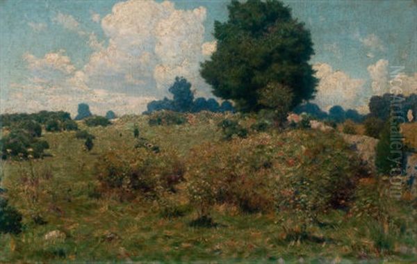 Hillside Landscape - view 1