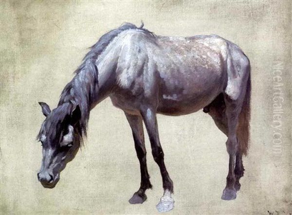 Navajo Horse - view 1