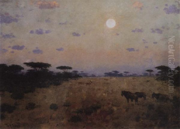 Serengeti Plains - view 1