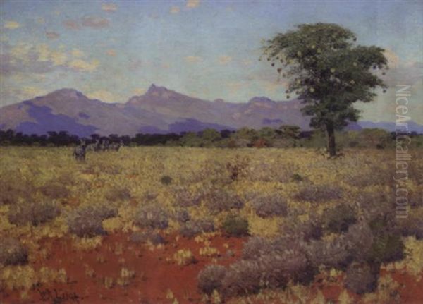 Zebra Country - view 1