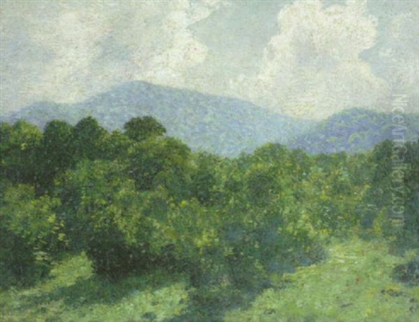Summer Landscape - view 1