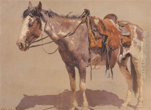 Navajo Pony, Kayenta, Arizona - view 1