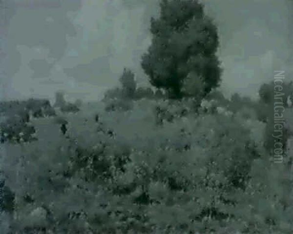 Summer Landscape - view 1