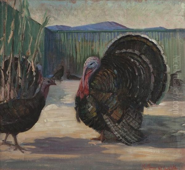 Turkeys - view 1