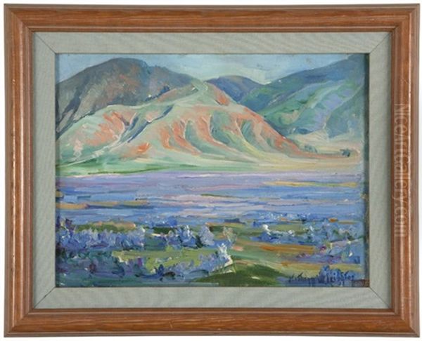 Desert Landscape With Blooming Flowers - view 1