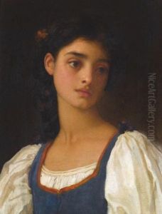 Nicandra (study)