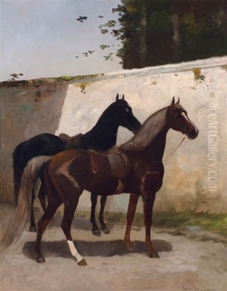 Horses - view 1