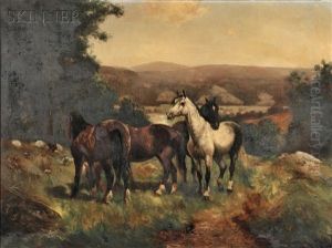 Horses Horses