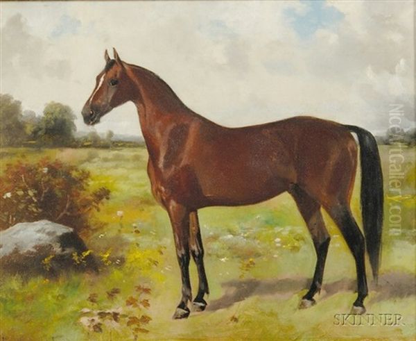 Portrait Of A Horse - view 1